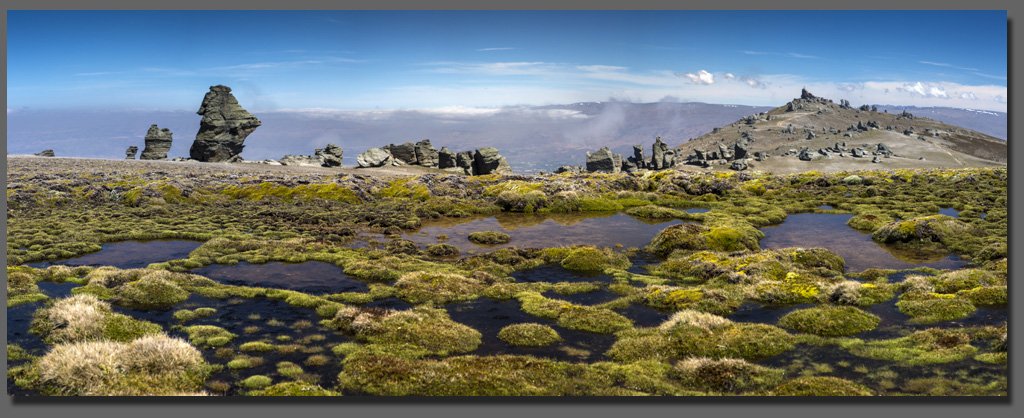 NZ Alpine Landscapes